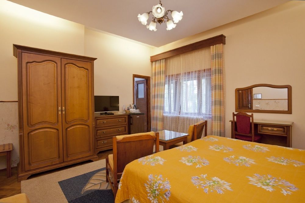 Vila Camelia Hotel Sinaia Buitenkant foto