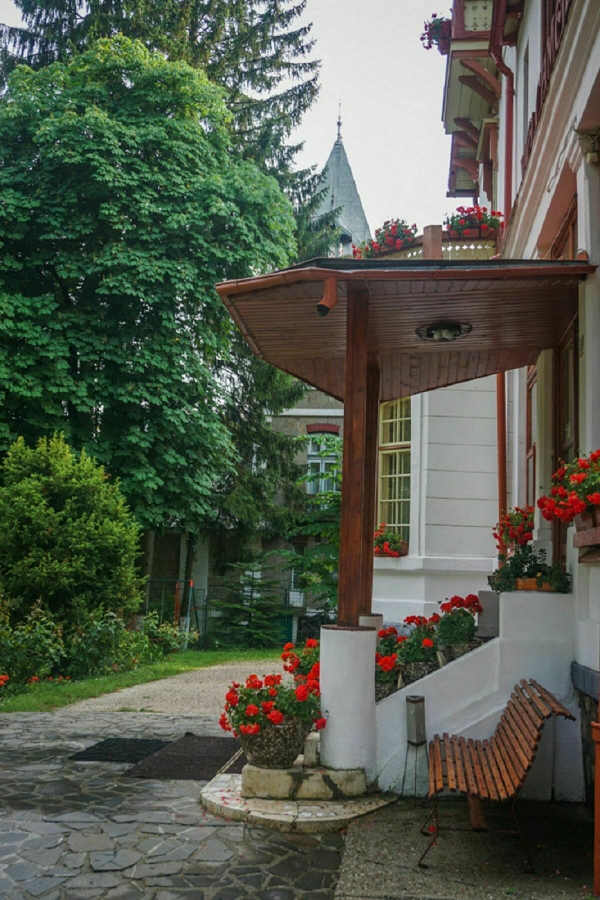 Vila Camelia Hotel Sinaia Buitenkant foto